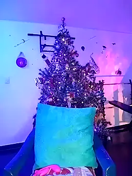 pleasure and fantasy online show from 12-31-24, 02:29