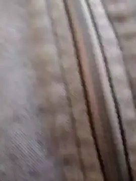 pleasure and fantasy online show from 01-08-25, 03:07