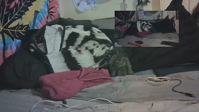 Snapshot of jaxx12369 chatting on 02-11-25, 12:17 jaxx12369 online show from 02-11-25, 12:17