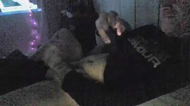 Snapshot of jaxx12369 chatting on 12-05-25, 06:55 jaxx12369 online show from 12-05-25, 06:55