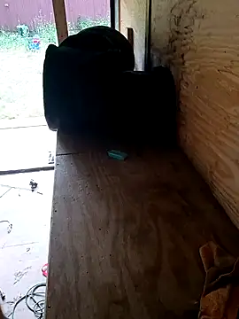 jaxx12369 online show from 04-29-26, 08:26