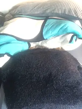 Snapshot of sexy_barbie254 chatting on 03-02-25, 11:53 sexy barbie254 online show from 03-02-25, 11:53