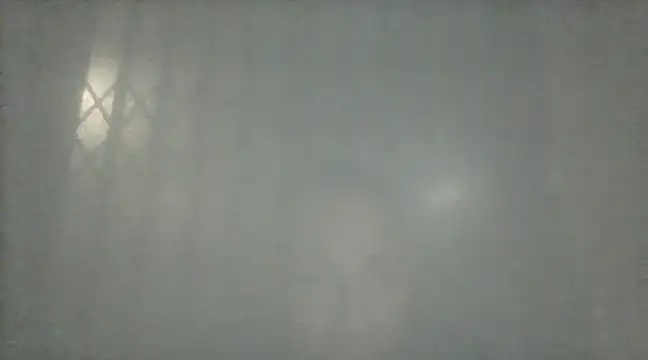 margiale84 online show from 12-17-24, 09:16