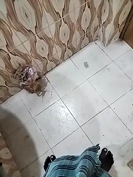 bas1cooks online show from 09-30-25, 03:22