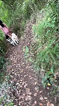 Reinacatchile online show from 02-04-25, 10:55