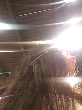 Reinacatchile online show from 02-23-25, 06:56