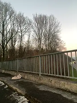 Snapshot of NickyGold_Official chatting on 01-18-25, 04:10 NickyGold Official online show from 01-18-25, 04:10