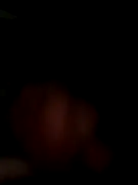 MynameisPaco online show from 11-11-25, 08:53