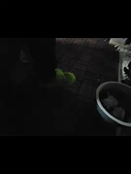 0815lukas2024 online show from 11-16-25, 11:54