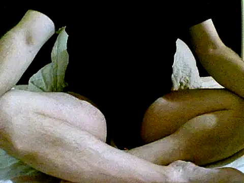 Snapshot of pollarikaaa chatting on 12-02-24, 04:42 pollarikaaa online show from 12-02-24, 04:42