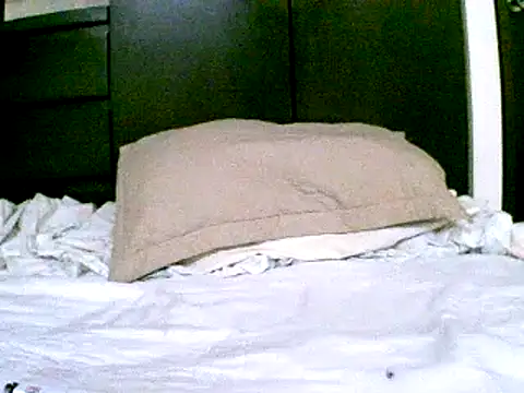 Snapshot of pollarikaaa chatting on 12-18-24, 09:51 pollarikaaa online show from 12-18-24, 09:51