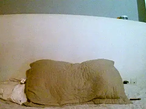 Snapshot of pollarikaaa chatting on 03-04-25, 01:12 pollarikaaa online show from 03-04-25, 01:12