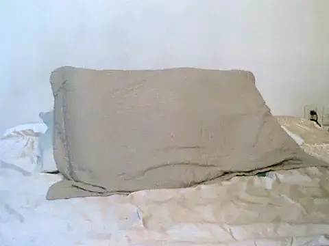 Snapshot of pollarikaaa chatting on 10-21-25, 02:01 pollarikaaa online show from 10-21-25, 02:01