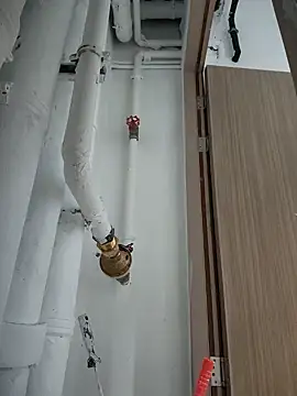 Snapshot of 2tomka52052sex chatting on 01-08-25, 07:03 2tomka52052sex online show from 01-08-25, 07:03