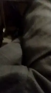 myhot1551 online show from 02-15-25, 04:25