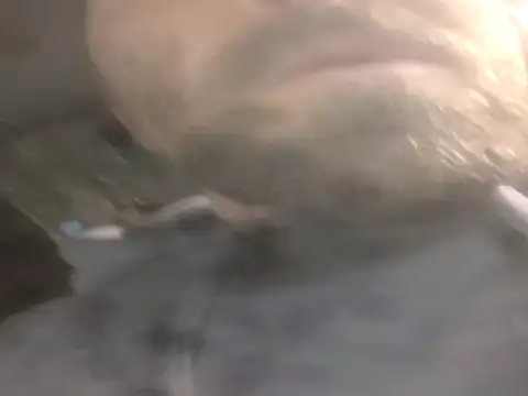 jwiththethickone413 online show from 11-17-25, 05:52