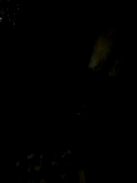 Tamil boy age28 online show from 02-15-25, 05:17