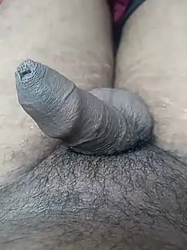 Snapshot of sat_1234 chatting on 01-10-25, 03:58 sat 1234 online show from 01-10-25, 03:58