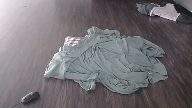 Snapshot of steelwood303 chatting on 02-07-26, 07:50 steelwood303 online show from 02-07-26, 07:50