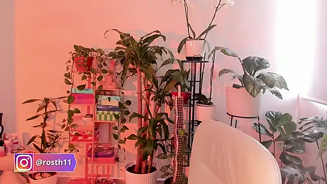 rossth1 online show from 10-24-25, 07:43