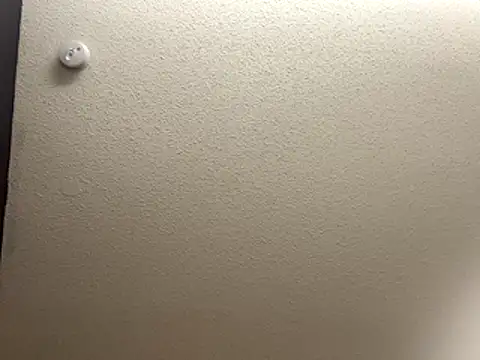 Snapshot of Bigbootylavishh chatting on 12-17-25, 04:35 Bigbootylavishh online show from 12-17-25, 04:35