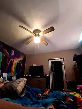 nuttinbuttcock69 online show from 05-08-26, 04:45