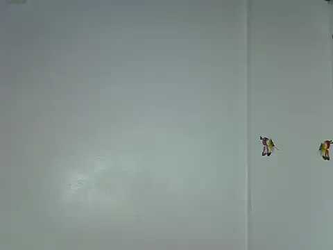 laetitia  online show from 01-15-26, 10:35