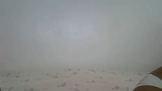 laetitia  online show from 04-24-26, 12:18