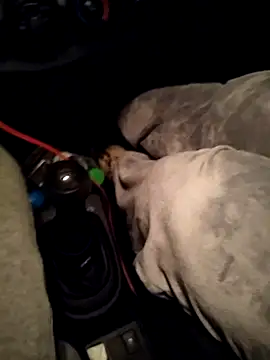 A man in public online show from 04-10-26, 10:47