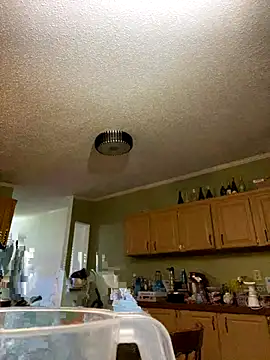 velvetta  online show from 12-17-25, 04:51