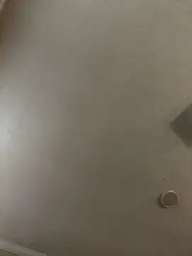 velvetta  online show from 12-18-25, 01:06