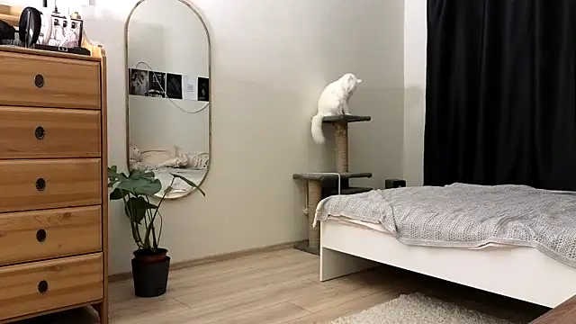 vse horosho online show from 11-13-25, 05:23