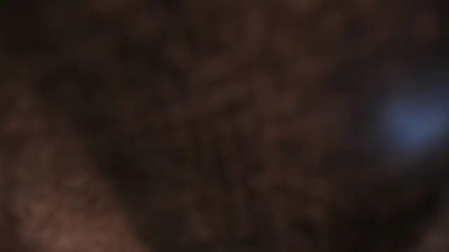 AliceHanz online show from 01-08-26, 04:26