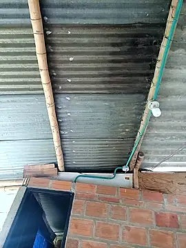 Janle 19c online show from 12-06-24, 05:00