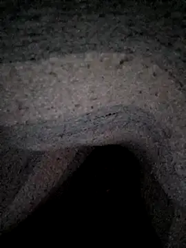 Janle 19c online show from 12-26-24, 03:27