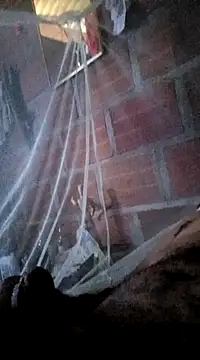 Janle 19c online show from 01-07-25, 07:06