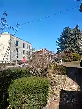 DARemo42O online show from 03-09-25, 02:43