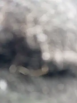 Snapshot of _andrea30 chatting on 10-30-25, 12:06 andrea30 online show from 10-30-25, 12:06