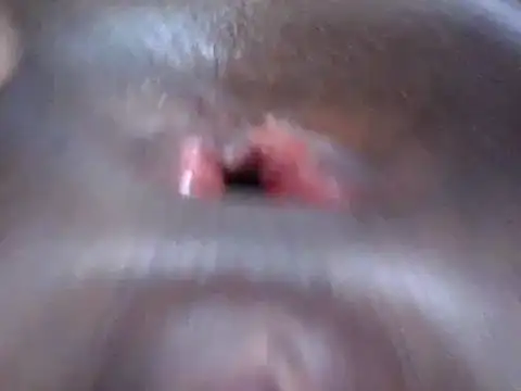 petitev online show from 12-18-24, 04:09