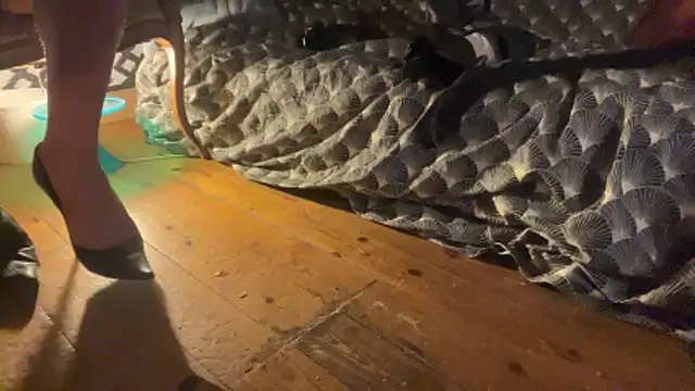 alexheels boots online show from 12-03-25, 02:41