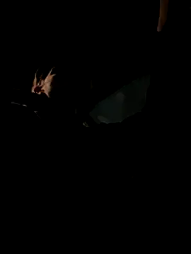 bigmerc online show from 11-21-25, 09:57