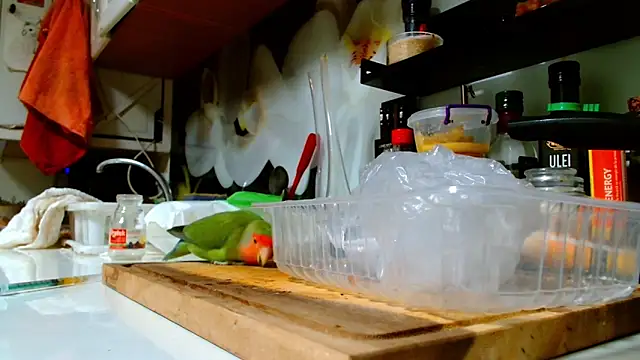 Sophie Bell online show from 01-16-25, 12:12