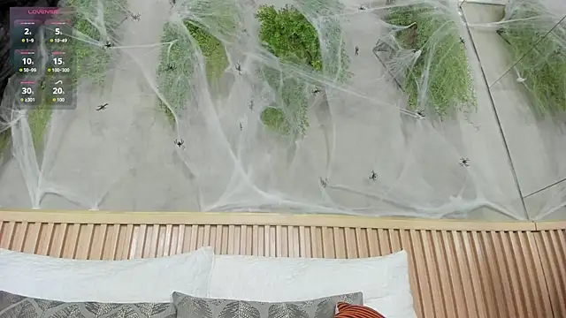 Lana Lann online show from 11-01-25, 11:56