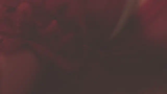 Snapshot of oxiris_1 chatting on 01-16-25, 01:48 oxiris 1 online show from 01-16-25, 01:48