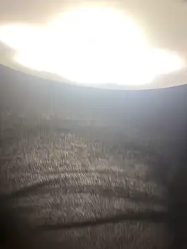 Snapshot of amy_gata chatting on 02-03-26, 08:52 amy gata online show from 02-03-26, 08:52