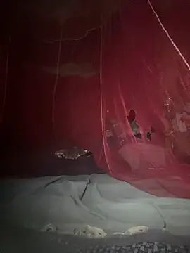 Snapshot of amy_gata chatting on 02-17-26, 08:55 amy gata online show from 02-17-26, 08:55