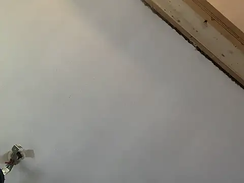 Brando2585 online show from 03-07-26, 02:03