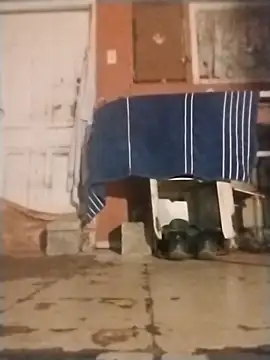 Snapshot of brownfeet chatting on 01-18-25, 04:59 brownfeet online show from 01-18-25, 04:59