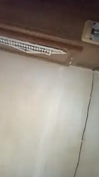 Dllarge online show from 10-15-25, 03:50