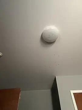 LunaWolfie143 online show from 12-22-25, 03:53